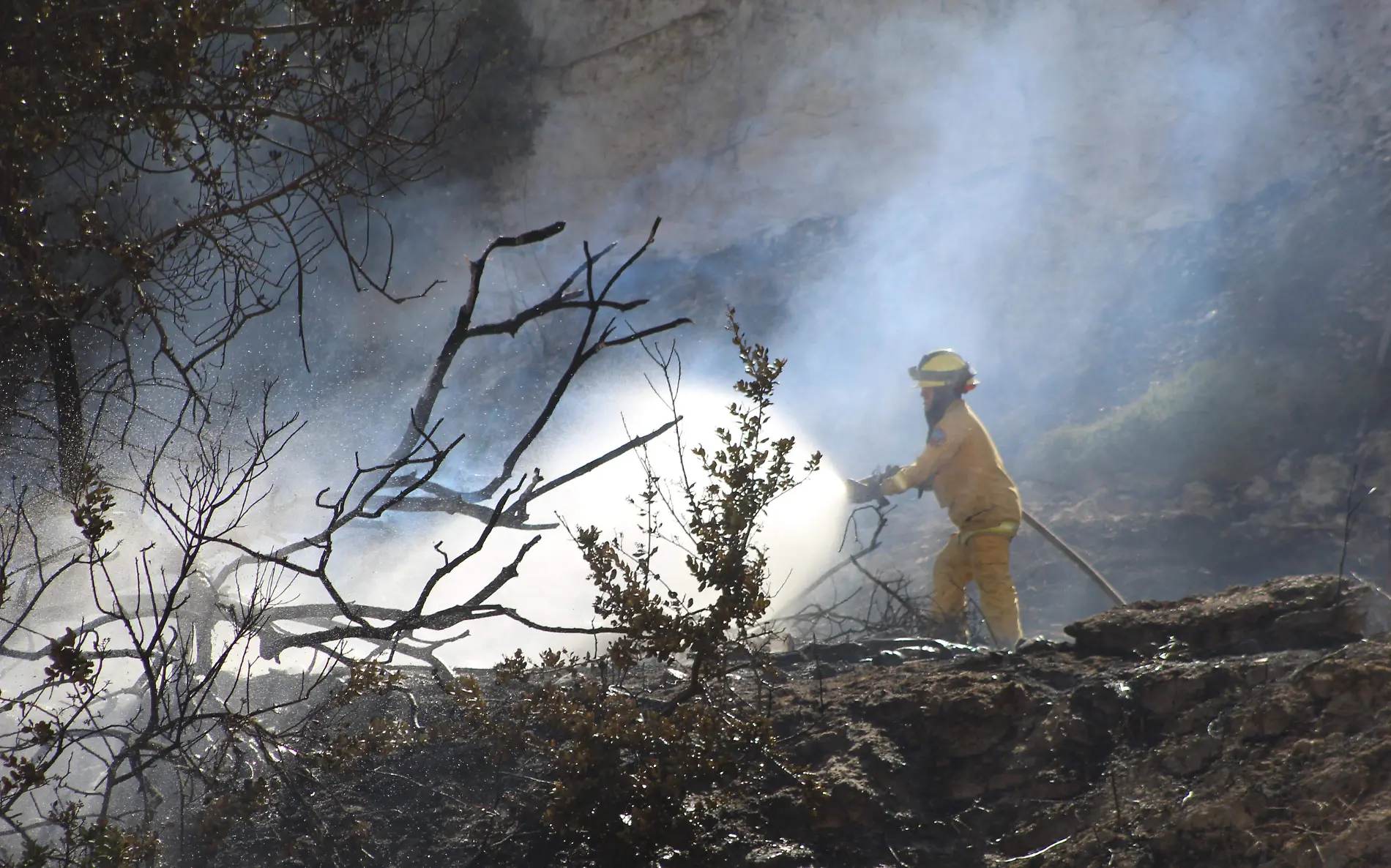 Incendio forestal